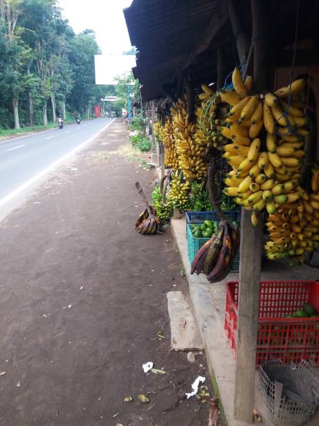 istock banana sale 1410779364