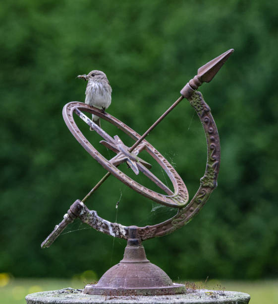 Bird made of iron and stone. The product, handmade by a blacksmith