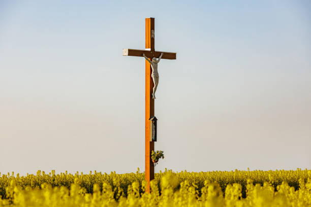 istock Yellow rape field with a cross, Poland 1410782757