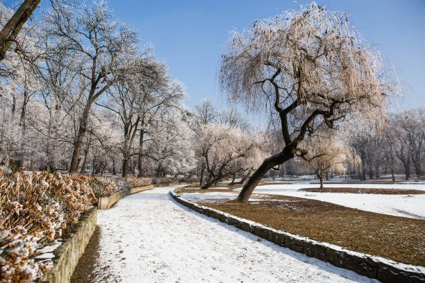 istock winter in the park 1410783017
