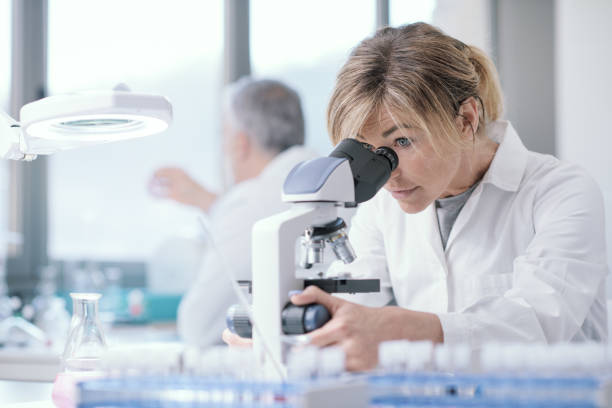 Medical researcher working in the lab stock photo