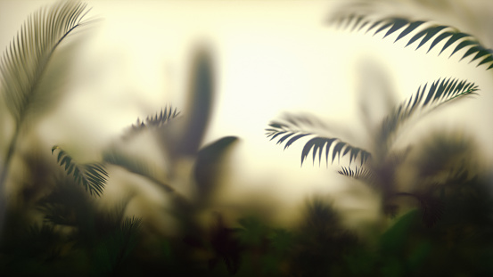 Burred monstera leaves behind Frosted glass of window cafe ,Burred green leaf background.