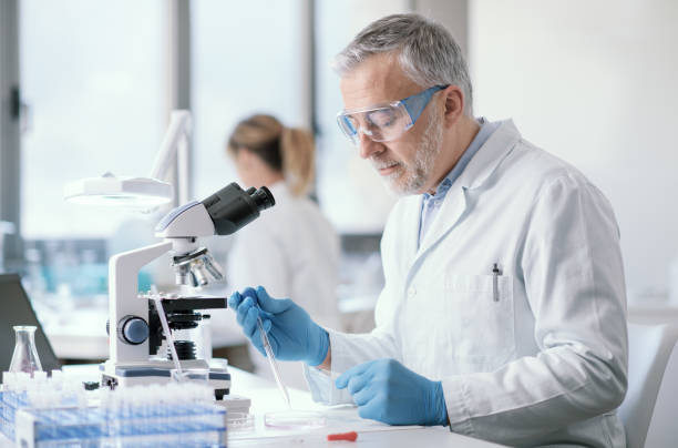 Scientist working in the laboratory stock photo