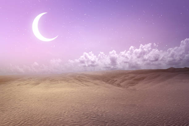istock Views of sand dune 1410786057
