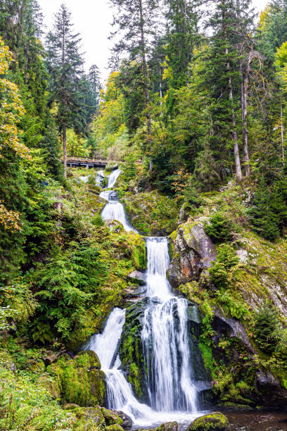 pitoresca cachoeira não alpina - black forest waterfall triberg landscape - fotografias e filmes do acervo