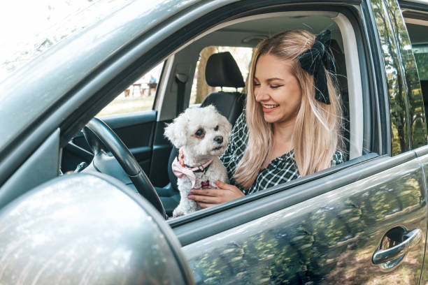 istock You are my good girl 1410788061