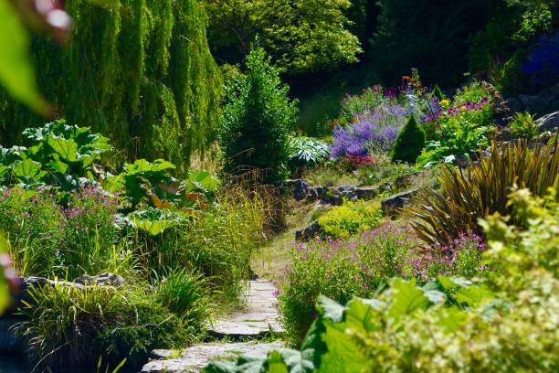 istock Wildflowers in the park 1410789147