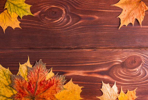 istock Dry maple leaves on a wooden background. 1410791514