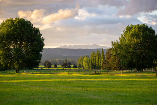 istock Mount Tarawera, Murupara / Galatea 1410791650