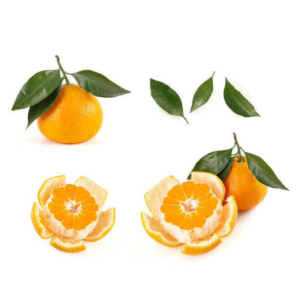 Fresh Chinese mandarin isolated on white background