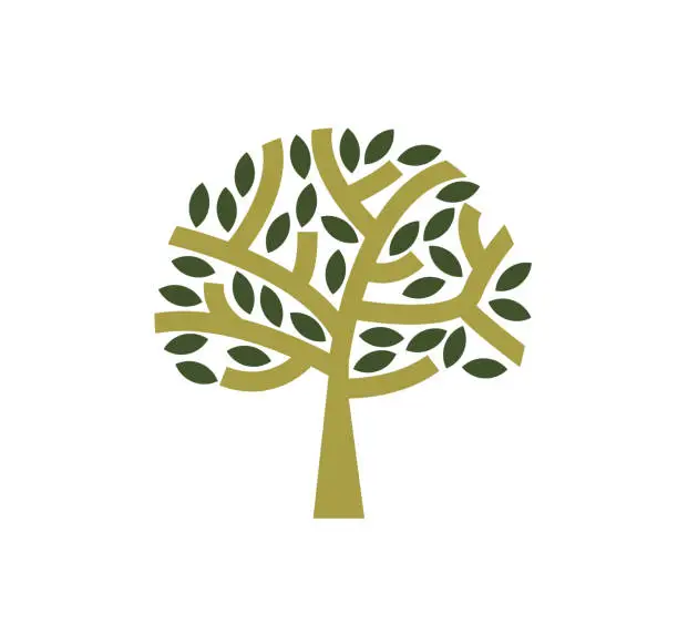 Vector illustration of Olive Tree