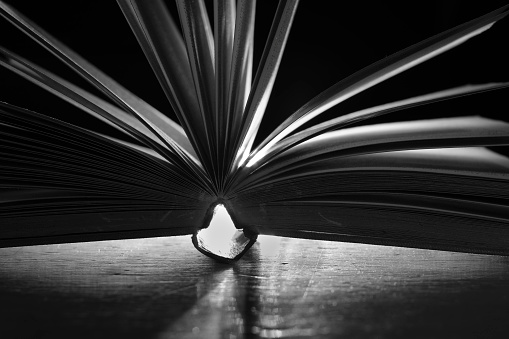 Open book close up,backlighting black and white, reading, education, education concept.