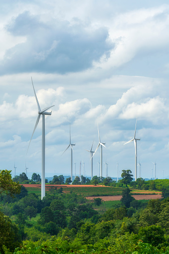 Landscape view of group of windmills in a wind farm creating renewable energy at  Nakhon Ratchasima, Thailand