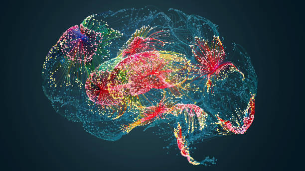 cervello umano - false colour foto e immagini stock