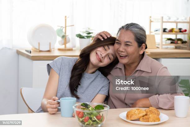 Happy Asian Mature Mother And Daughter Laughing And Embracing Stock Photo - Download Image Now