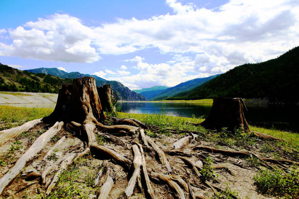 istock Yenisei Sayan 1410797574