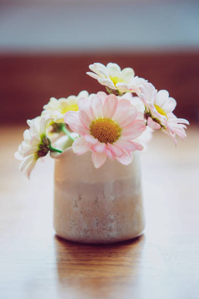 Cut flowers from the garden, Calendula officinalis 'Sunset Buff'