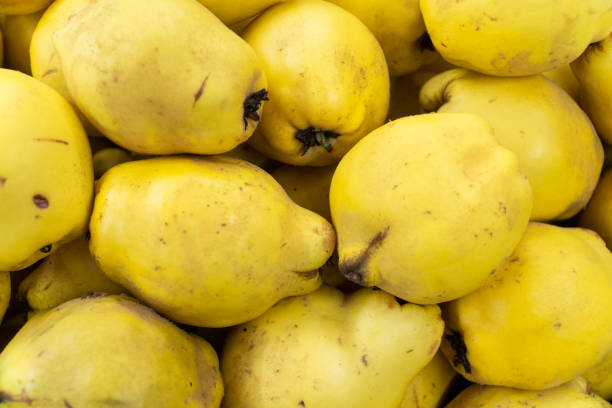 quince fruit. high angle view of raw yellow quince fruit on the market stall - quince imagens e fotografias de stock