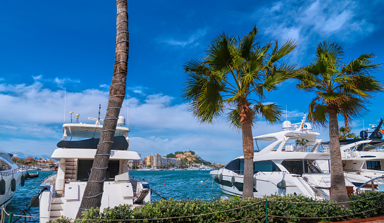 Denia marina Spain with boats yachts and palm trees