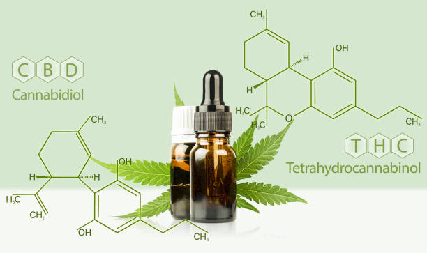 What's the Difference Between CBD and Cannabis for Bipolar Disorder? combat creatine