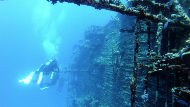 Divers exploring famous diving spot in Red Sea. Moving by Salem express ship wreck surrounded by coral reef and tropical fish