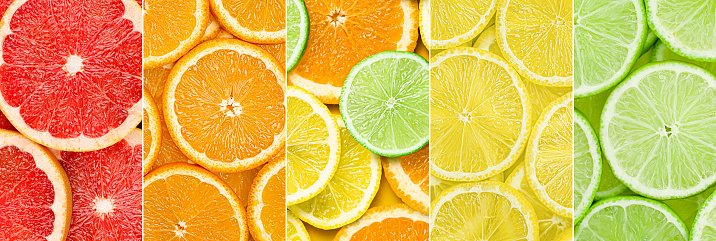 fruit collage of cut slices of lemon, orange, lime, grapefruit