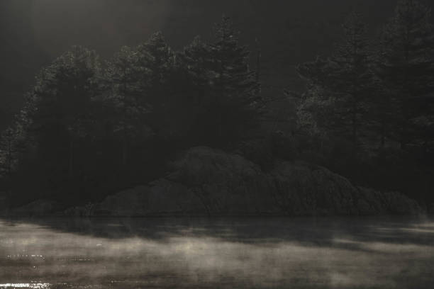 istock Lake in the morning in the light mist 1410808187