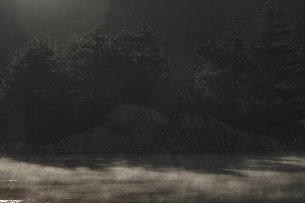 istock Lake in the morning in the light mist 1410808189