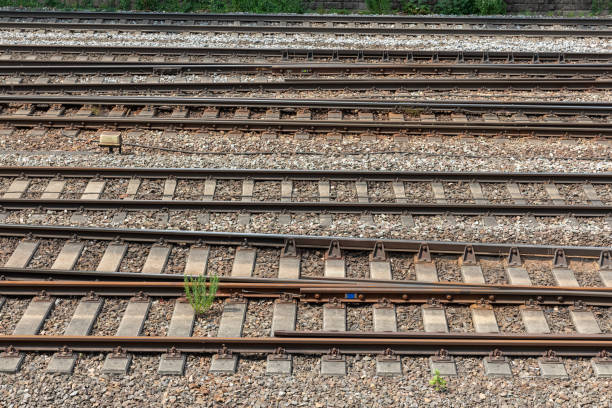 Railway track fields, railroad tracks stock photo