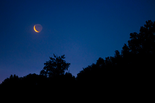 Silhouette of trees with crescent Moon at 2am at night.
