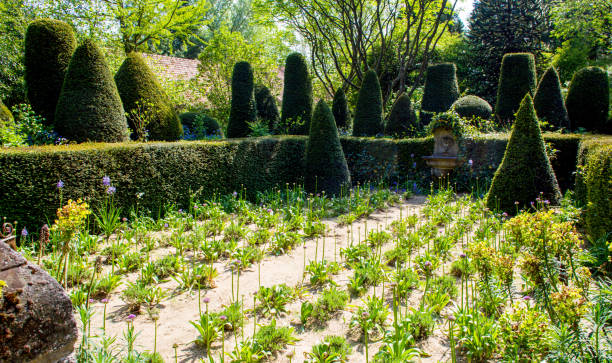 istock Garden of Alexander Thomas 1410813286
