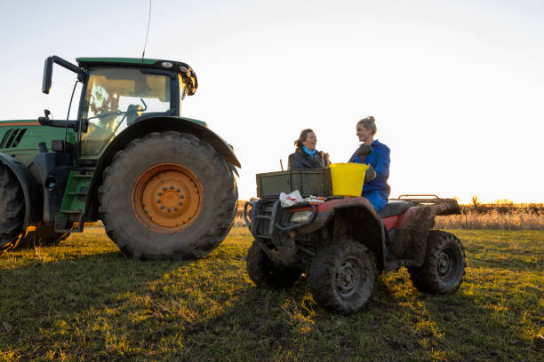 istock Early Morning Farming 1410815665