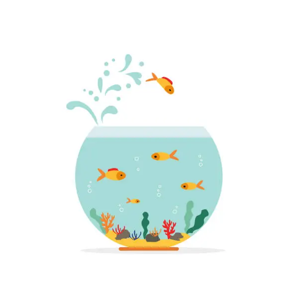 Vector illustration of Goldfish jumping out one fishbowl. Aquarium with swimming gold exotic fish. Underwater aquarium habitat with sea plants. Flat vector drawn illustration, isolated objects.