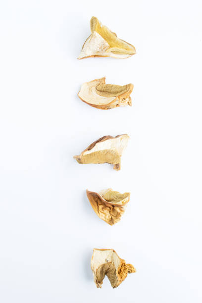 istock Dried porcini mushrooms cut in pieces on a white background. 1410820764