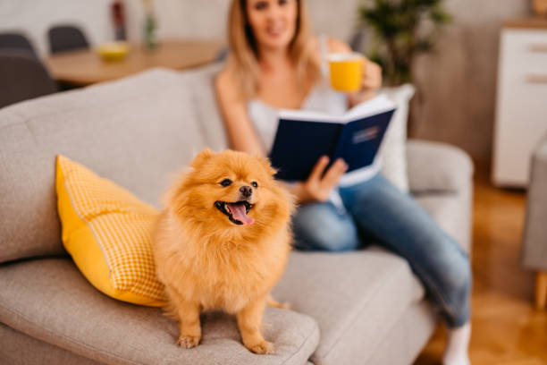 Beautiful young woman sitting on the sofa at home with her dog, drinking coffee and reading a book.