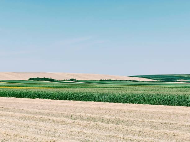 istock Blue summer sky and fields in Hungary. 1410824316