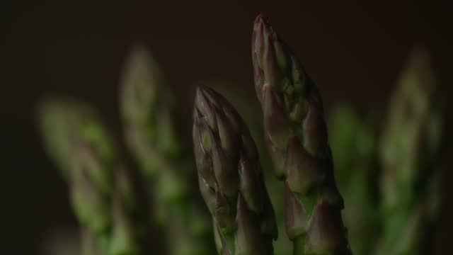 close up picture of fresh asparagus tips going from dark to light