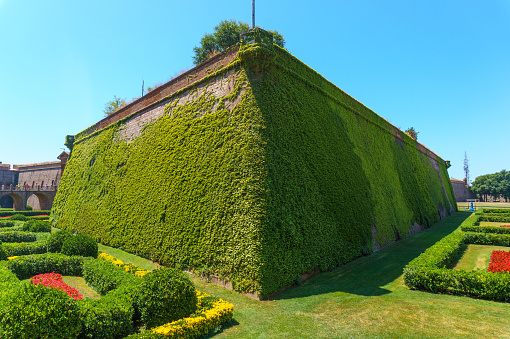 Barcelona, Spain - July 6, 2022: Vine covering the exterior walls of the Montjuic Castle. A beautiful garden surrounds the colonial building. Incidental tourists are entering the tourist attraction.