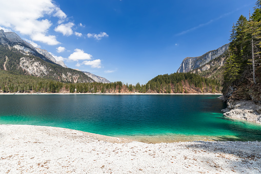 Gently sloping shore of the emerald Alpine mineralized Tovel lake surrounded by mountains under the blue sky, Ville d'Anaunia, Trentino, Italy