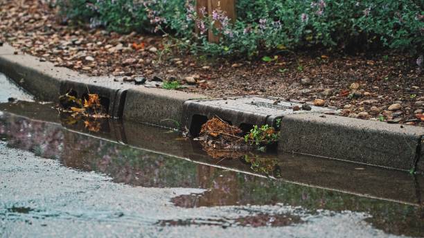 istock Street Water Drain Sewer Clogged with Leaves and Stigs During Heavy Rainfall Storm 1410826607