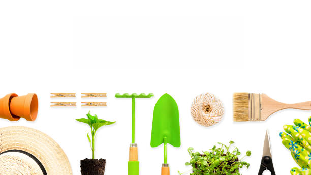 istock big garden banner with copy paste. Gardening tools on white background, isolated object 1410826865