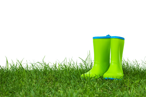 Banner with a clean white background, for cutting. Green clean, bright boots stand on green fresh grass. isolated object close up, copy paste space.
