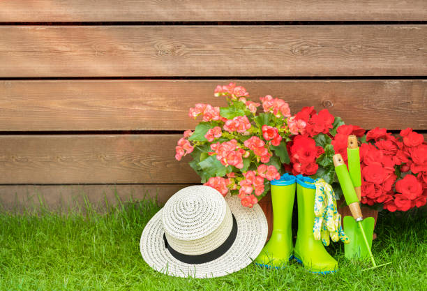 Summer wooden background with garden tools and red flowers. copy space for text and design