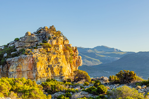 Rugged mountain landscape with fynbos flora in Cape Town, South Africa