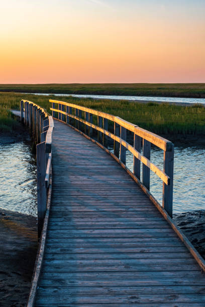 istock Wooden bridge in Langwarder Groden/Germany 1410831902