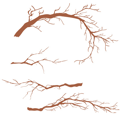 A set of bare branch brushes. A set of 'live' Illustrator branch brushes. Find them in the brushes palette. You can easily change the color by changing the stroke color.