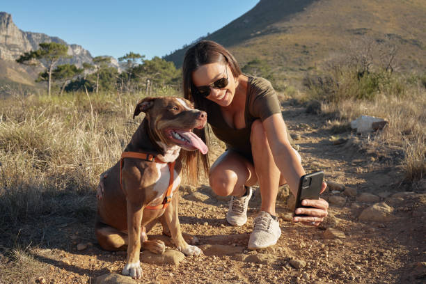 A woman taking a selfie with her dog while exercising together in summer with copyspace. Fit female using a phone to take a photo with pet dog. Happy lady hiking with her pitbull on rocky mountain