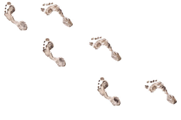 istock Collage of human footprints in a row. 1410834093