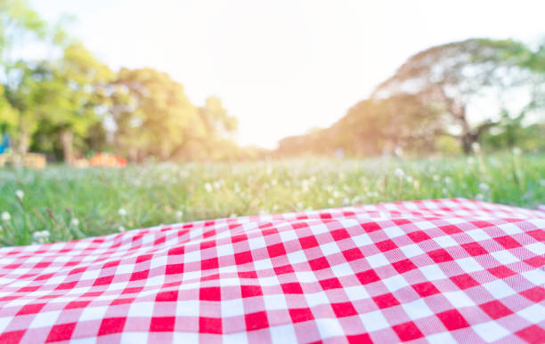 istock Red checkered tablecloth texture with on green grass at the garden 1410834380