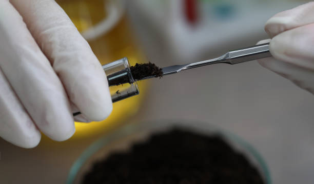 istock Researcher holds glass flask with earth in hand 1410834405